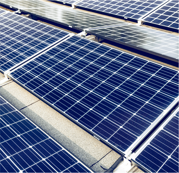 Solarmodul-Solarzellen