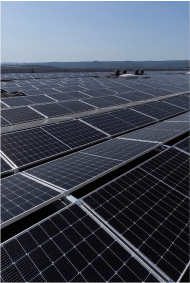 Solarmodul-Solarzellen